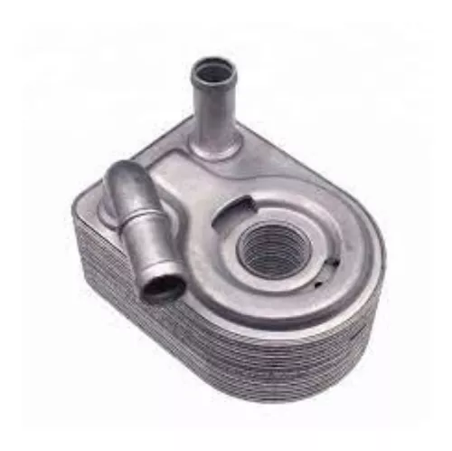 portatermostato vehiculo